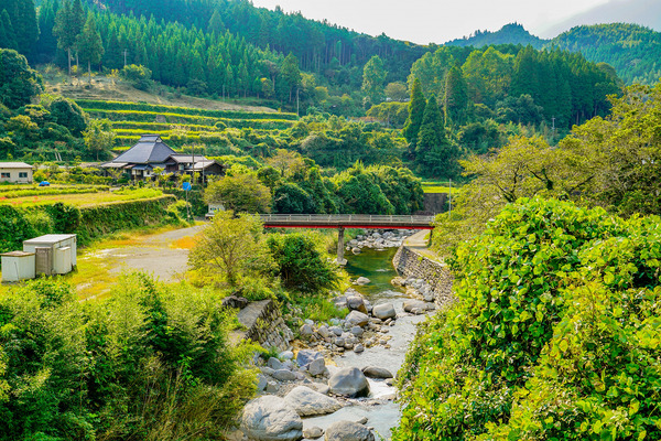 博報堂と浜松市、めざすは「日本版MaaS」---持続可能な地域交通創出プロジェクト開始