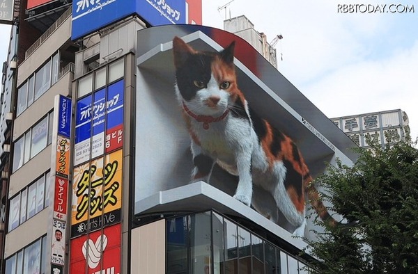 巨大な三毛猫がビルに！ 東京・新宿駅前の広告ビジョン