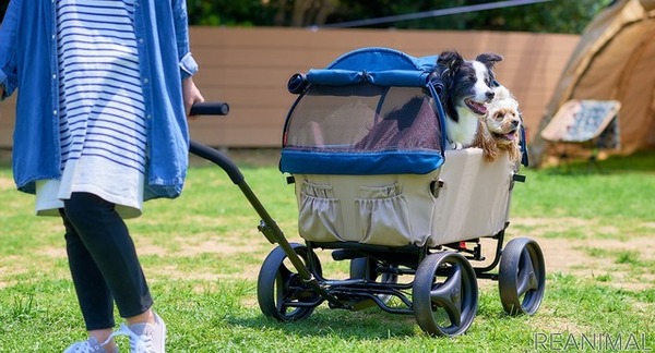 多頭飼い 大型犬 ibiyaya アウトドアペットワゴン 訳あり　直接引き取り 多頭飼い 大型犬 ibiyaya アウトドアペットワゴン 訳あり 直接