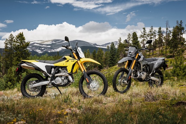 Dr.arrivo がなんと正規価格¥105,840が¥39,800 Amazon | va- 305124-vanity ショルダーバッグ VANITY BASH