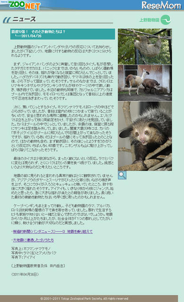 パンダは興奮 バクは動じず 震度5強 上野動物園 レスポンス Response Jp