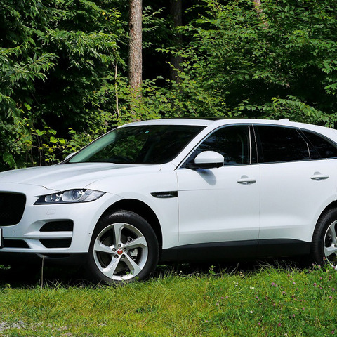【ジャガー F-PACE 試乗】日本市場で最も静粛性の高いディーゼル…中村孝仁 画像