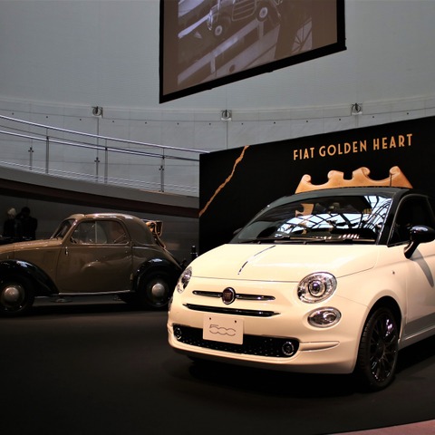 あまたある限定車を含めたフィアット 500 のストーリー本 画像