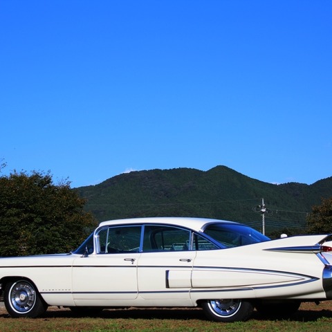 大きくて、力強くて、エレガント…テールフィンの時代 画像