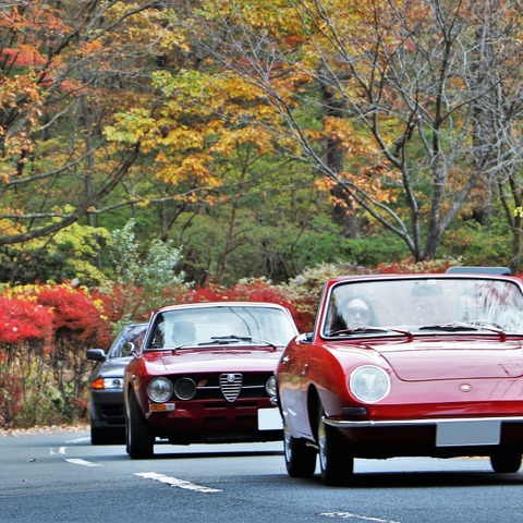 シングルナンバーの英ハンバーなど、クラシックカーが集まる…マロニエオートストーリー秋ミーティング2022 画像