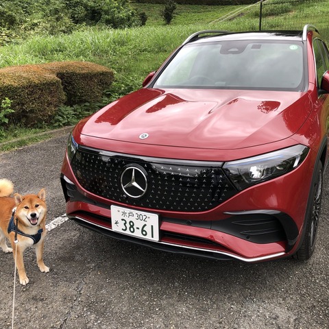 【メルセデスベンツ EQB 新型試乗】実用車としてのバランスのよさ、出来映えに「ほほぅ！」…島崎七生人 画像