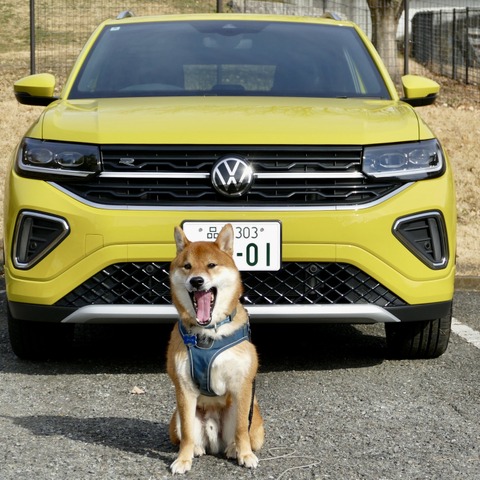 【VW Tクロス TSI R-Line 新型試乗】人にも中型犬にも“ちょうどよさ”が魅力…島崎七生人 画像