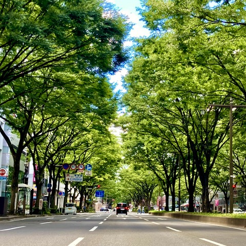 走りも快適性も守る！ 車高調、オイル、電装系まで“お手入れ完全マニュアル”～カスタムHOW TO～ 画像