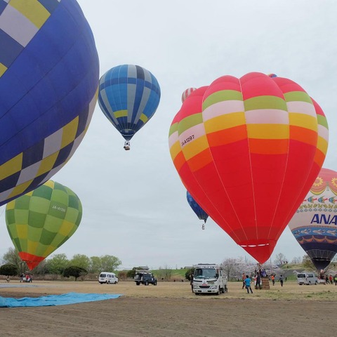 【ホンダ熱気球グランプリ15】渡良瀬で第1戦が開幕…5日まで 画像