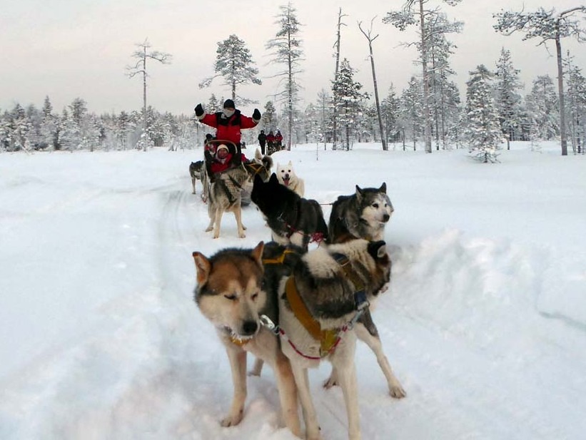 これぞ 人犬一体 北極圏で犬ゾリに乗ってみた 動画 レスポンス Response Jp これぞ 人犬一体 北極圏で犬ゾリに乗ってみた 動画 レスポンス Response Jp