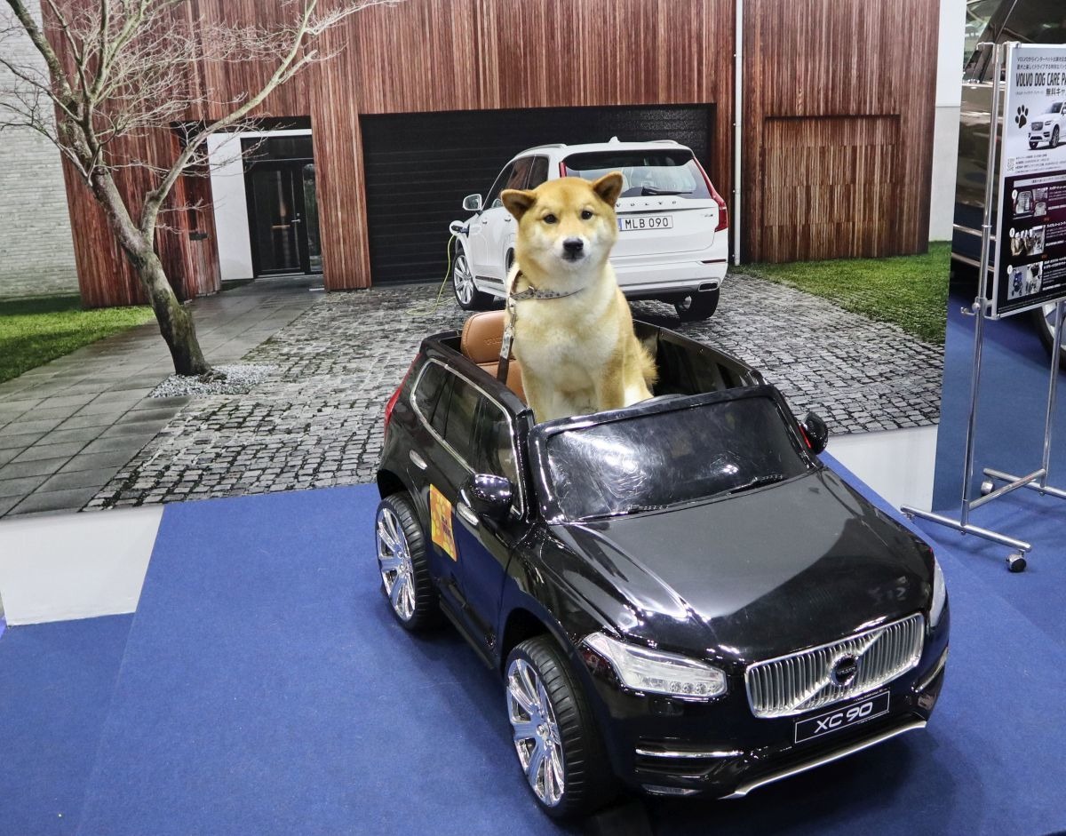 新車でも新車のにおいがしないボルボ そのわけは インターペット18 レスポンス Response Jp