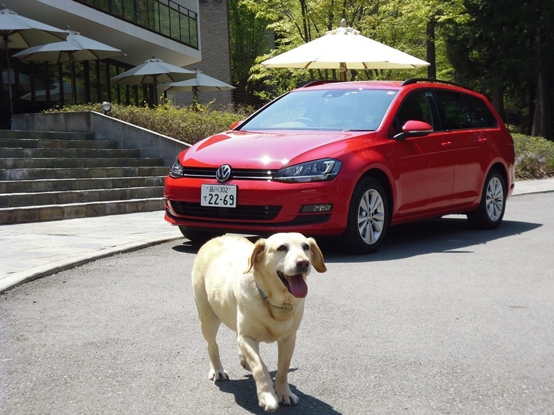 青山尚暉のわんダフルカーライフ 愛犬の安全なクルマの乗せ方 降ろし方 レスポンス Response Jp 青山尚暉のわんダフルカーライフ 愛犬の安全なクルマの乗せ方 降ろし方 レスポンス Response Jp