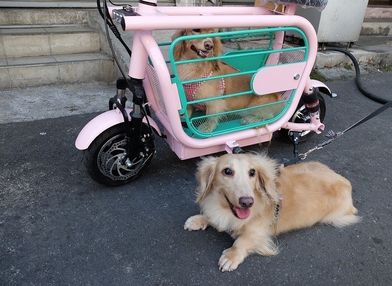 愛犬と一緒に乗れるeバイク登場 折りたたんで車載も可能 レスポンス Response Jp