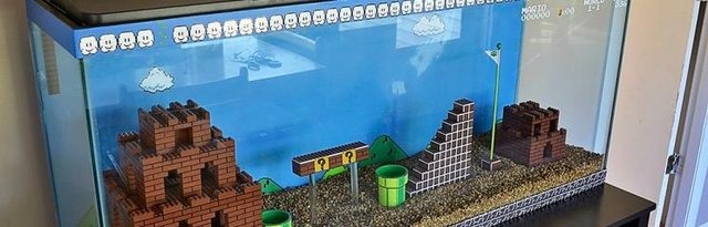 サカナを押しのけ 水槽の中にスーパーマリオのステージを手作りしたファン レスポンス Response Jp サカナを押しのけ 水槽の中にスーパーマリオのステージを手作りしたファン レスポンス Response Jp