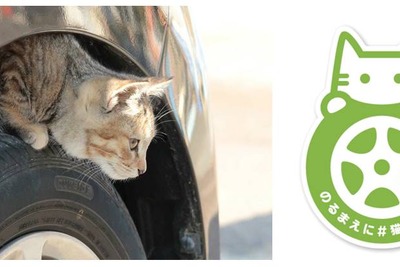 日産「猫バンバン」プロジェクト、特設サイトオープン…乗車前にボンネットを叩く 画像