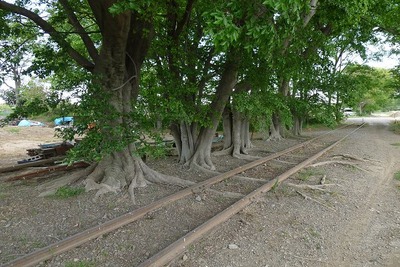 西武鉄道、安比奈線の車両基地整備計画を廃止…休止から半世紀の「廃線」 画像