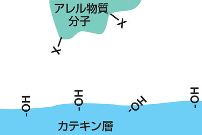 日産、花粉症の原因物質をほぼ除去できるエアコンフィルターを新開発 画像