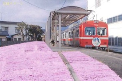 岳南電車・ジヤトコ駅前を花の名所に…プロジェクトが始動 画像