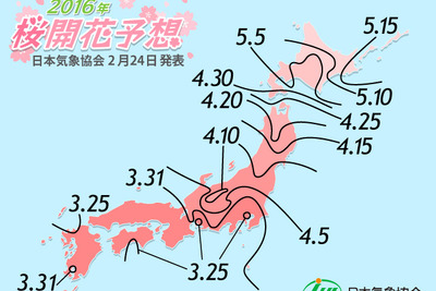 日本三大桜の開花予想は…気象協会が発表 画像