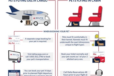 デルタ航空、ペット輸送の新指針を発表…オプションは機内持ち込みを含む2通りに 画像