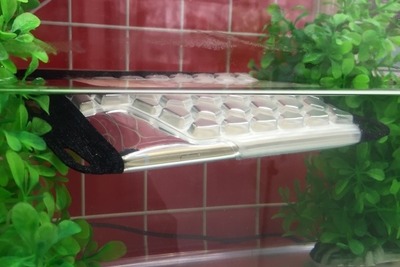 気泡をインしたフロート構造…大事なスマホを水没させないケース 画像
