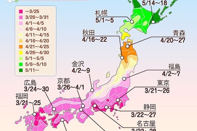 東京と並び、福岡も3月21日に桜開花予想…全国に先駆けて 画像