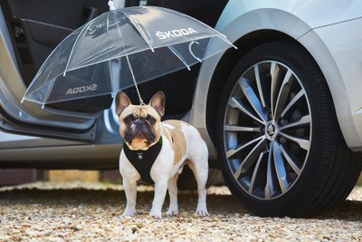 シュコダ、犬専用の傘を開発…ドアフレームに内蔵 画像