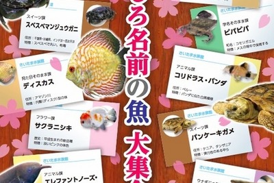 聞いたこともない面白ネーミングのお魚だけを集めた春の特別展示 画像