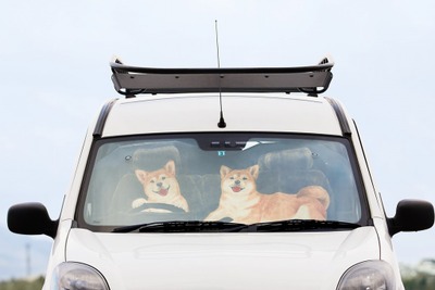フェリシモ、ユニークデザインのサンシェードを発売…つぶらな瞳の柴犬が運転席に 画像