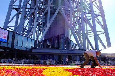 花じゅうたんに特別ライティング…ベルギー色に染まる東京スカイツリー［フォトレポート］ 画像