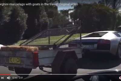 ランボルギーニ、トレーラーを牽引…荷台にヤギ［動画］ 画像