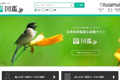 生物専門図鑑の読み放題サイト---「図鑑.jp」植物、野鳥図鑑を公開 画像