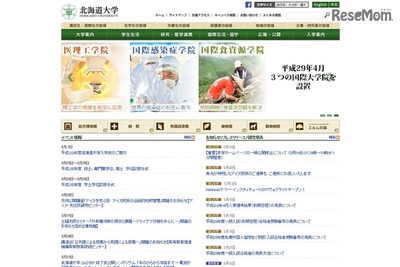 ゴキブリの繁殖にオス不要？ メス3匹で単為生殖を促進…北大研究チーム 画像