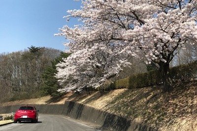 サイクリング+交通機関で移動…安心感を買う『カーサイクリング』 画像