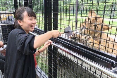 【夏休み】那須サファリパーク、新型アクティビティバス…檻の中に人間が 画像