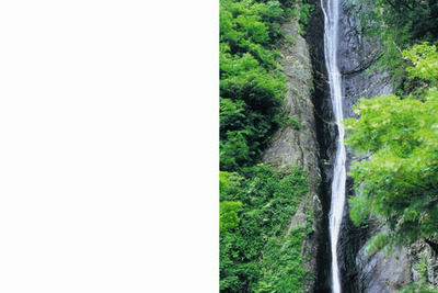 三菱自動車、社会・環境報告書2007 を発行 画像