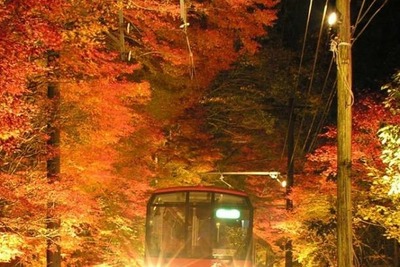窓外に広がる「夜のモミジ」…叡山電鉄が紅葉ライトアップ　11月3-26日 画像