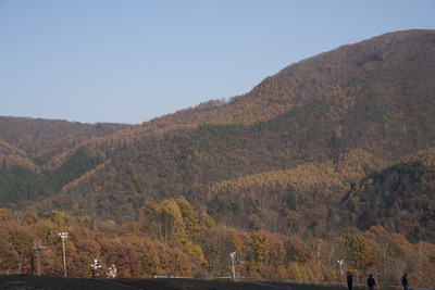 【JNCC 最終戦】秋も彩る爺ヶ岳スキー場で日米トップライダーが相見えた［写真蔵］ 画像