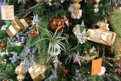 クリスマス 女性の約半数がクリぼっち---直前！ 恋事情調査報告 画像