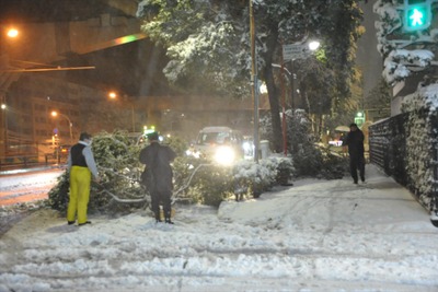 積雪、東京都心でも20センチ超で、物損事故90分で377件 画像