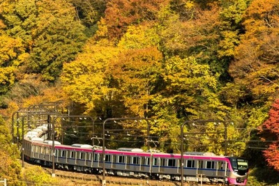 高尾山からの帰路に初の座席指定列車…11月に運行される京王の『Mt.TAKAO号』 画像