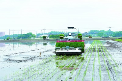 田植えも自動運転、ヤンマーがロボット農機第2弾発売へ 画像