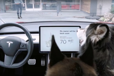 テスラ モデル3に「愛犬モード」採用［動画］ 画像