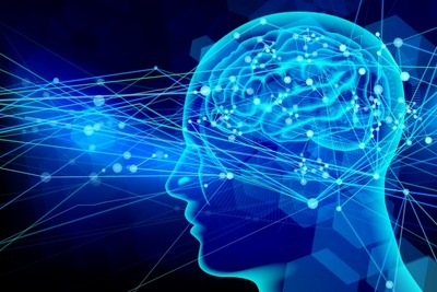 モビリティやロボットに脳科学を応用　ホンダと脳情報通信融合研究センターが共同研究を開始 画像