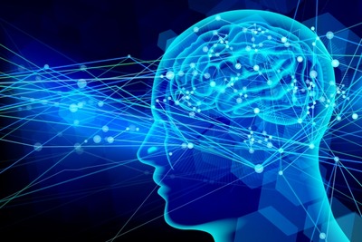 モビリティやロボットに脳科学を応用 ホンダと脳情報通信融合研究センターが共同研究を開始 画像