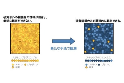 タイヤ用ゴム内部の特定材料を選択的に観測 住友ゴムと茨城大学が手法を確立 画像