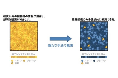 タイヤ用ゴム内部の特定材料を選択的に観測　住友ゴムと茨城大学が手法を確立 画像