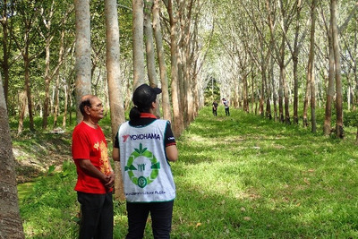 天然ゴムを持続可能な資源に、横浜ゴムがタイで農園の調査を実施 画像