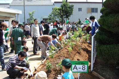 横浜ゴム、三重工場で苗木5500本を植樹 画像