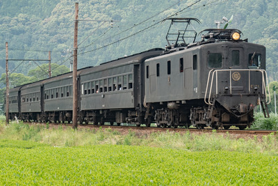 蒸気機関車がポイントを損傷？…大井川鐡道の『SLかわね路号』、当面は電気機関車牽引に　6月26日から 画像